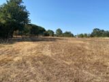 Terrain à bâtir à Montbartier (82700) 2589674-11913annonce420260724EcxQG.jpeg Maisons France Confort