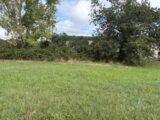 Terrain à bâtir à Saint-Sulpice (81370) 2591226-11356annonce220260727S2OlN.jpeg Maisons France Confort