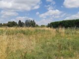 Terrain à bâtir à Aucamville (31140) 2590696-5202annonce320260727fcMOI.jpeg Maisons France Confort
