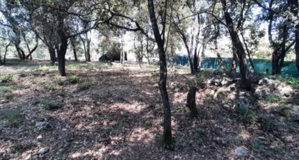 Le Thoronet Terrain à bâtir - 2591899-10295annonce320260728rPmAm.jpeg Maisons France Confort