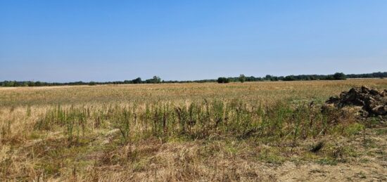 Terrain à bâtir à Lamasquère, Occitanie