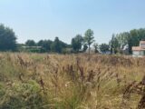 Terrain à bâtir à Nègrepelisse (82800) 2593947-11913annonce320260731HQVmA.jpeg Maisons France Confort