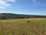 Terrain à bâtir à La Magdelaine-sur-Tarn (31340) 2570013-11356annonce220260701CMRIU.jpeg Maisons France Confort