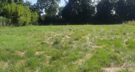Gagnac-sur-Garonne Maison neuve - 2597090-5202annonce220260805Z1U4c.jpeg Maisons France Confort