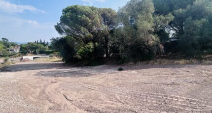 Roquebrune-sur-Argens Maison neuve - 2598159-4529annonce120260807cTS0y.jpeg Maisons France Confort