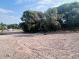 Terrain à bâtir à Roquebrune-sur-Argens (83520) 2598038-4529annonce120260807cTS0y.jpeg Maisons France Confort