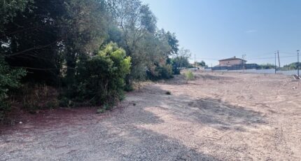 Roquebrune-sur-Argens Terrain à bâtir - 2598038-4529annonce320260807q2eL1.jpeg Maisons France Confort