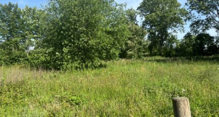 Lamotte-Buleux Maison neuve - 2598575-5042annonce220260807wzOPA.jpeg Maisons France Confort