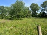 Maison à construire à Lamotte-Buleux (80150) 2598581-5042annonce220260807wzOPA.jpeg Maisons France Confort