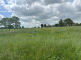 Maison à construire à Sailly-Flibeaucourt (80970) 2598602-5042annonce120260807SLd50.jpeg Maisons France Confort