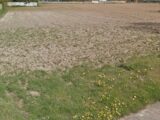 Terrain à bâtir à Haute-Avesnes (62144) 2597445-4439annonce1202608065IMT0.jpeg Maisons France Confort