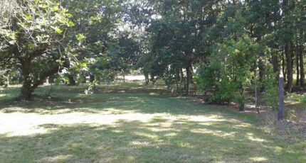 Fonsorbes Maison neuve - 2598021-3575annonce220260807tHKax.jpeg Maisons France Confort