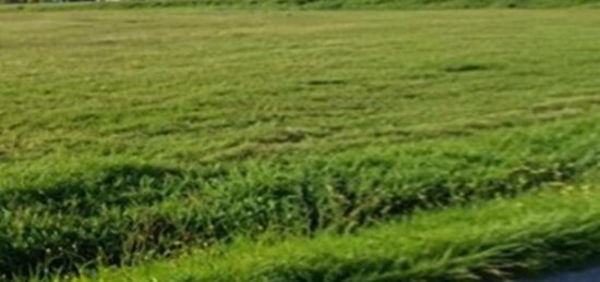 Terrain à bâtir à La Lande-de-Fronsac, Nouvelle-Aquitaine