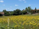 Maison à construire à Arthès (81160) 2601138-2684annonce220260812sbXe4.jpeg Maisons France Confort