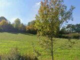 Maison à construire à Caraman (31460) 2602489-5771annonce120260814unP0U.jpeg Maisons France Confort