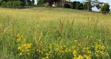 Montauban Maison neuve - 2581836-11913annonce4202607090kg0F.jpeg Maisons France Confort