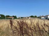 Terrain à bâtir à Lespinasse (31150) 2602611-11913annonce4202608140cth4.jpeg Maisons France Confort
