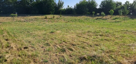 Terrain à bâtir à , Charente-Maritime