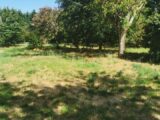 Terrain à bâtir à Roaillan (33210) 2604486-9573annonce1202608198FFzM.jpeg Maisons France Confort