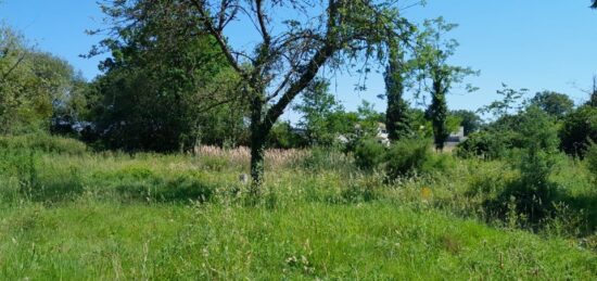 Terrain à bâtir à Saint-Aignan-Grandlieu, Pays de la Loire