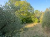 Maison à construire à Carcès (83570) 2554723-11157annonce320260616DKM0s.jpeg Maisons France Confort