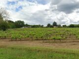 Terrain à bâtir à Castres-Gironde (33640) 2582703-3601annonce120260715hqxNx.jpeg Maisons France Confort