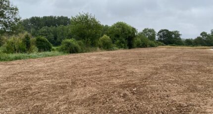 Puyravault Maison neuve - 2606128-11194annonce320260821dsNVF.jpeg Maisons France Confort
