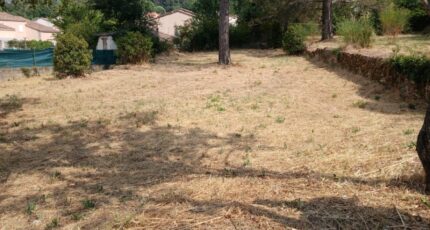 Trets Maison neuve - 2565402-11680annonce520260625bXMXH.jpeg Maisons France Confort