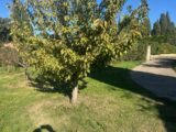 Maison à construire à Salon-de-Provence (13300) 2606576-11073annonce220260822llDRF.jpeg Maisons France Confort