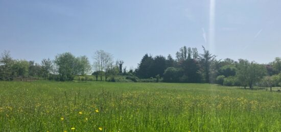 Terrain à bâtir à Langon, Nouvelle-Aquitaine