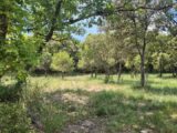 Maison à construire à Baudinard-sur-Verdon (83630) 2607296-10152annonce2202608248FnkU.jpeg Maisons France Confort