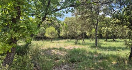 Baudinard-sur-Verdon Maison neuve - 2607296-10152annonce2202608248FnkU.jpeg Maisons France Confort