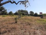 Terrain à bâtir à Puget-sur-Argens (83480) 2607146-10295annonce220260824izy6g.jpeg Maisons France Confort