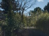 Terrain à bâtir à Volx (04130) 2606759-9917annonce120260824q5fQx.jpeg Maisons France Confort