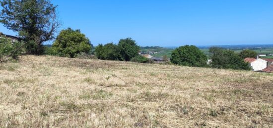 Terrain à bâtir à Saint-Preuil, Nouvelle-Aquitaine