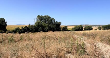 Schnersheim Maison neuve - 2589179-11920annonce120260826OsKDL.jpeg Maisons France Confort