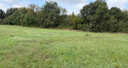 Saint-Sulpice Maison neuve - 2591227-11356annonce320260727r6Cqp.jpeg Maisons France Confort