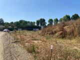 Maison à construire à Labastide-Saint-Pierre (82370) 2589779-11913annonce120260724gBUR4.jpeg Maisons France Confort