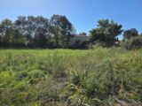 Maison à construire à Saint-Sulpice-sur-Lèze (31410) 2591210-10326annonce120260727nmuA5.jpeg Maisons France Confort