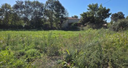 Saint-Sulpice-sur-Lèze Maison neuve - 2591217-10326annonce120260727nmuA5.jpeg Maisons France Confort