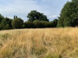 Maison à construire à Condat-sur-Vienne (87920) 2585953-11804annonce220260720vPIld.jpeg Maisons France Confort