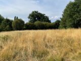 Maison à construire à Condat-sur-Vienne (87920) 2585954-11804annonce220260720vPIld.jpeg Maisons France Confort