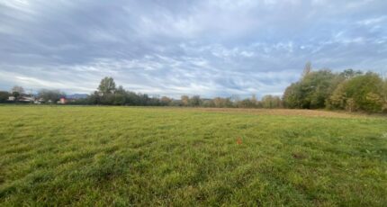Juillan Maison neuve - 2568608-902annonce3202603040hQX6.jpeg Maisons France Confort