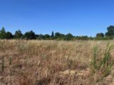 Terrain à bâtir à Saint-Paulet-de-Caisson (30130) 2603061-6150annonce220260817SQbpf.jpeg Maisons France Confort