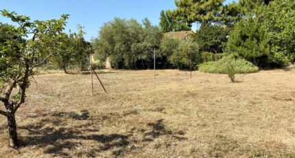 Tournon-sur-Rhône Terrain à bâtir - 2609975-11248annonce320260827k9nzB.jpeg Maisons France Confort