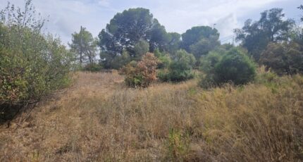 Fréjus Terrain à bâtir - 2611700-5163annonce220260831xECzv.jpeg Maisons France Confort