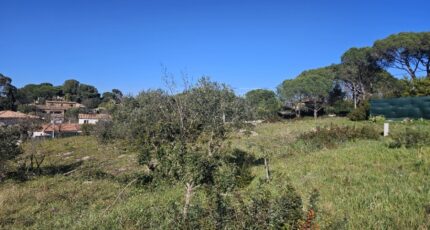 Roquebrune-sur-Argens Terrain à bâtir - 2611720-5163annonce220260831rTGhz.jpeg Maisons France Confort