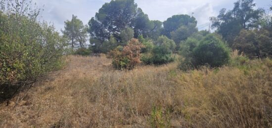 Terrain à bâtir à , Var