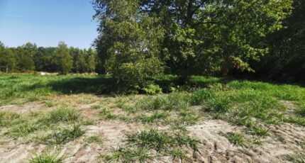Mios Terrain à bâtir - 2610276-9573annonce120260828xTDNO.jpeg Maisons France Confort