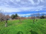 Terrain à bâtir à Puget-sur-Argens (83480) 2612049-9911annonce120260831fV3zZ.jpeg Maisons France Confort